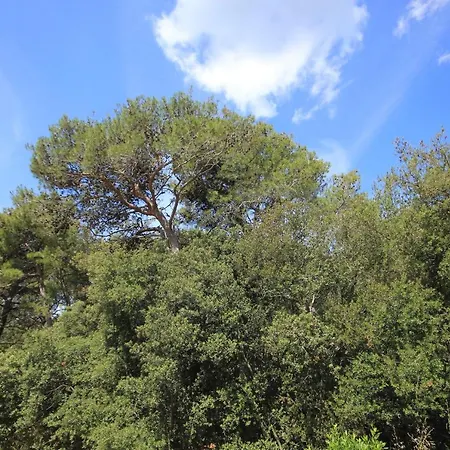 By The Sea Artatore, Losinj - 8022 Apartman