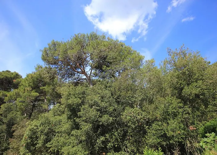 By The Sea Artatore, Losinj - 8022 Apartamento